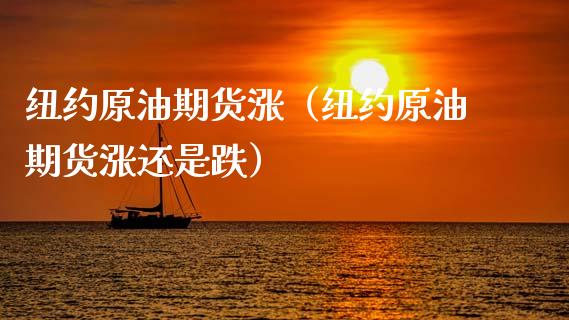 纽约原油期货涨（纽约原油期货涨还是跌）_https://www.fsyjjx.cn_期货资讯_第1张