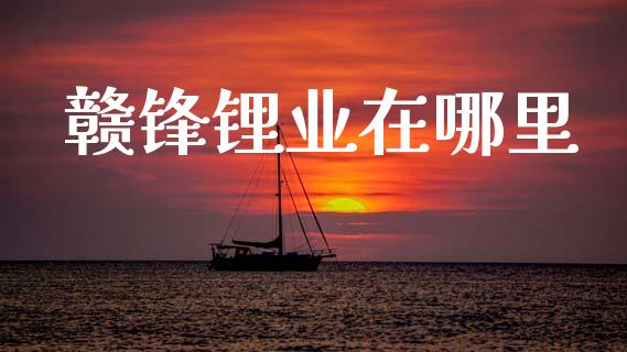 赣锋锂业在哪里_https://www.fsyjjx.cn_期货研报_第1张