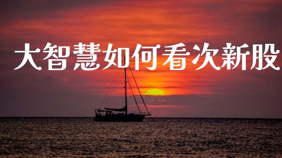 大智慧如何看次新股_https://www.fsyjjx.cn_股市分析_第1张