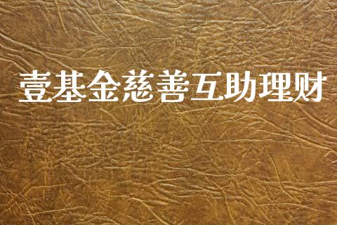 壹基金慈善互助理财_https://www.fsyjjx.cn_问财精选_第1张