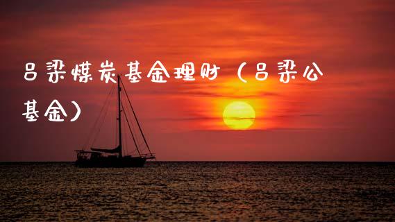 吕梁煤炭基金理财（吕梁公基金）_https://www.fsyjjx.cn_理财资讯_第1张