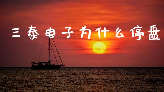 三泰电子为什么停盘_https://www.fsyjjx.cn_股指期货_第1张