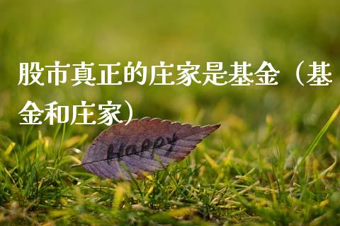 股市真正的庄家是基金（基金和庄家）_https://www.fsyjjx.cn_问财精选_第1张