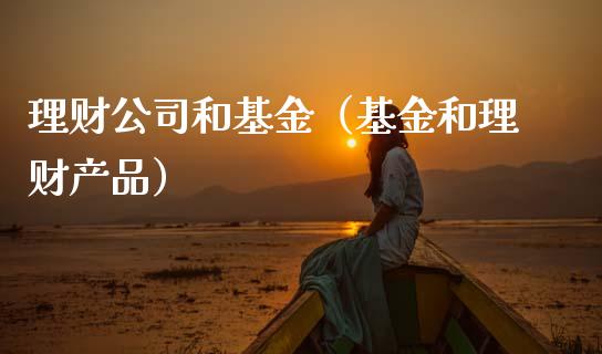 理财公司和基金（基金和理财产品）_https://www.fsyjjx.cn_问财精选_第1张