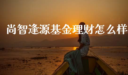 尚智逢源基金理财怎么样_https://www.fsyjjx.cn_理财资讯_第1张