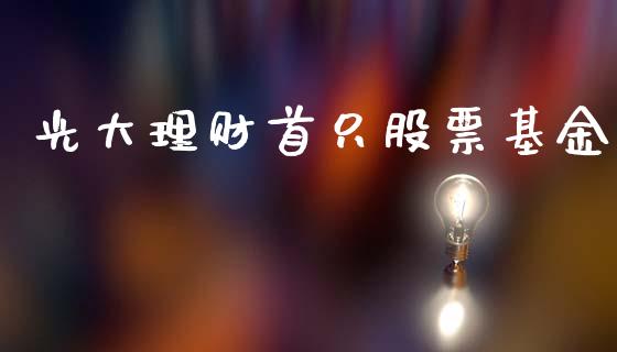 光大理财首只股票基金_https://www.fsyjjx.cn_问财精选_第1张