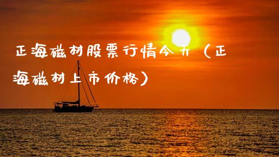 正海磁材股票行情今天（正海磁材上市价格）_https://www.fsyjjx.cn_股票指导_第1张