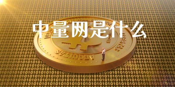 中量网是什么_https://www.fsyjjx.cn_理财资讯_第1张