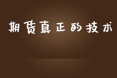期货真正的技术_https://www.fsyjjx.cn_期货研报_第1张