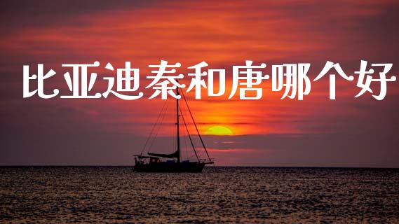 比亚迪秦和唐哪个好_https://www.fsyjjx.cn_理财资讯_第1张