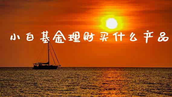 小白基金理财买什么产品_https://www.fsyjjx.cn_问财精选_第1张