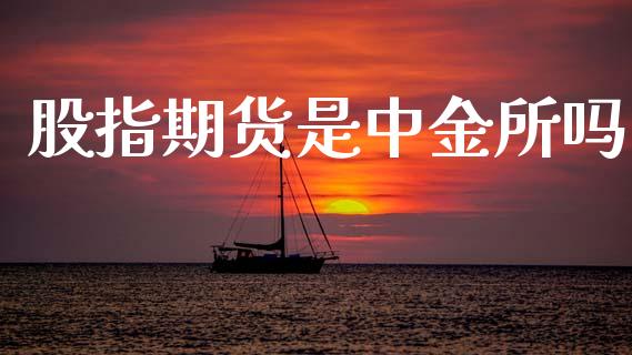 股指期货是中金所吗_https://www.fsyjjx.cn_期货研报_第1张
