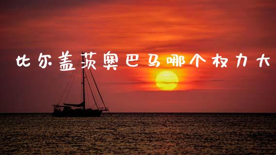比尔盖茨奥巴马哪个权力大_https://www.fsyjjx.cn_股市分析_第1张