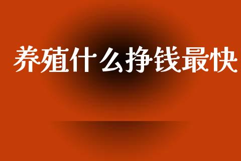 养殖什么挣钱最快_https://www.fsyjjx.cn_期货资讯_第1张