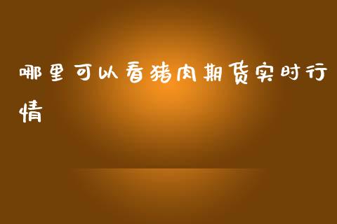 哪里可以看猪肉期货实时行情_https://www.fsyjjx.cn_期货资讯_第1张