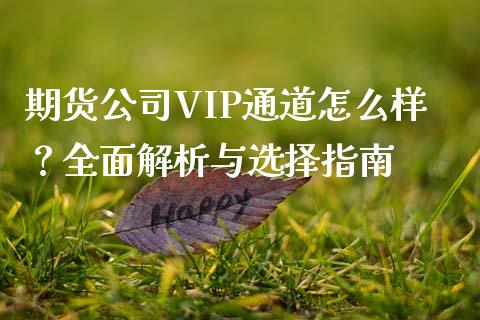 期货公司VIP通道怎么样？全面解析与选择指南_https://www.fsyjjx.cn_股市分析_第1张