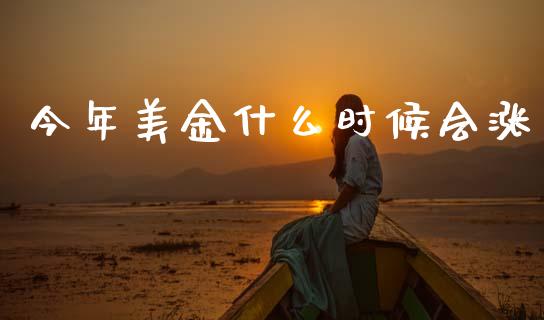 今年美金什么时候会涨_https://www.fsyjjx.cn_问财精选_第1张