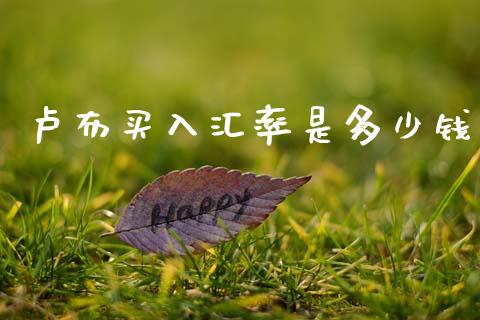 卢布买入汇率是多少钱_https://www.fsyjjx.cn_股票指导_第1张