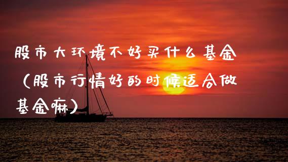 股市大环境不好买什么基金（股市行情好的时候适合做基金嘛）_https://www.fsyjjx.cn_问财精选_第1张