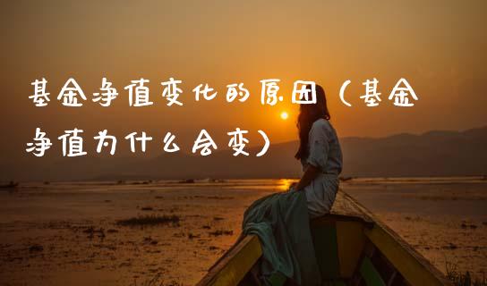 基金净值变化的原因（基金净值为什么会变）_https://www.fsyjjx.cn_理财资讯_第1张