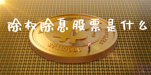 除权除息股票是什么_https://www.fsyjjx.cn_股票指导_第1张