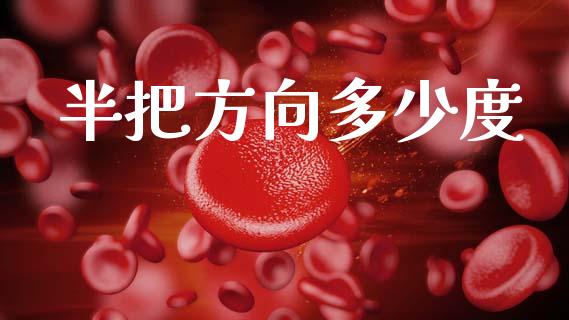 半把方向多少度_https://www.fsyjjx.cn_期货在线_第1张