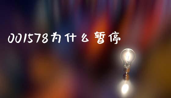 001578为什么暂停_https://www.fsyjjx.cn_期货在线_第1张