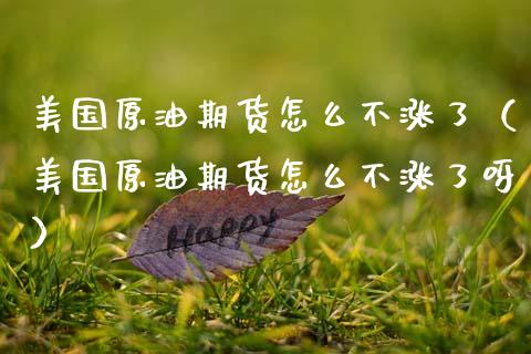 美国原油期货怎么不涨了（美国原油期货怎么不涨了呀）_https://www.fsyjjx.cn_期货资讯_第1张