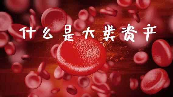 什么是大类资产_https://www.fsyjjx.cn_理财资讯_第1张