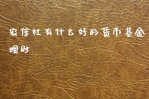 农信社有什么好的货币基金理财_https://www.fsyjjx.cn_理财资讯_第1张