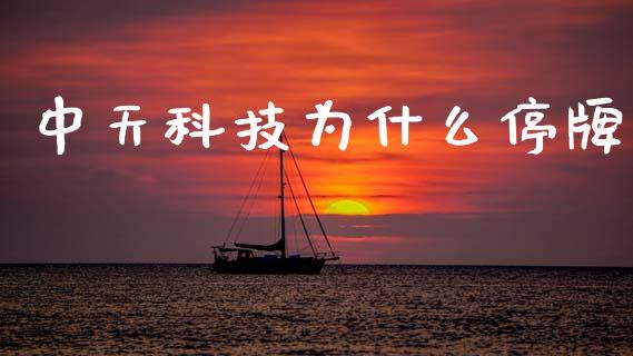 中天科技为什么停牌_https://www.fsyjjx.cn_期货研报_第1张