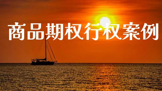 商品期权行权案例_https://www.fsyjjx.cn_期货研报_第1张