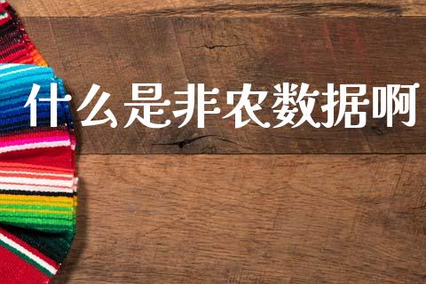 什么是非农数据啊_https://www.fsyjjx.cn_期货研报_第1张