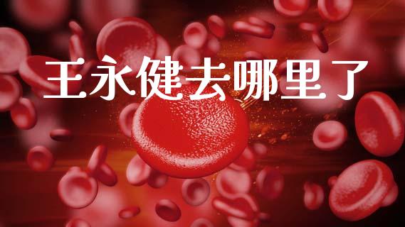 王永健去哪里了_https://www.fsyjjx.cn_股指期货_第1张