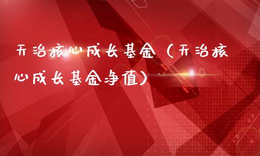 天治核心成长基金（天治核心成长基金净值）_https://www.fsyjjx.cn_理财资讯_第1张