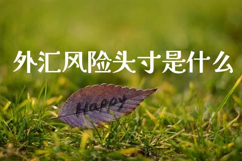 外汇风险头寸是什么_https://www.fsyjjx.cn_股指期货_第1张