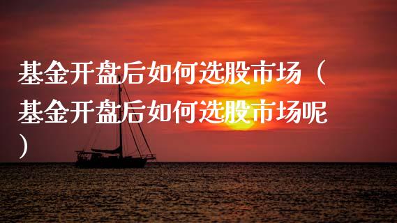 基金开盘后如何选股市场（基金开盘后如何选股市场呢）_https://www.fsyjjx.cn_问财精选_第1张