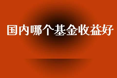 国内哪个基金收益好_https://www.fsyjjx.cn_股票指导_第1张