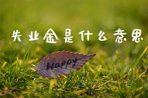 失业金是什么意思_https://www.fsyjjx.cn_股指期货_第1张