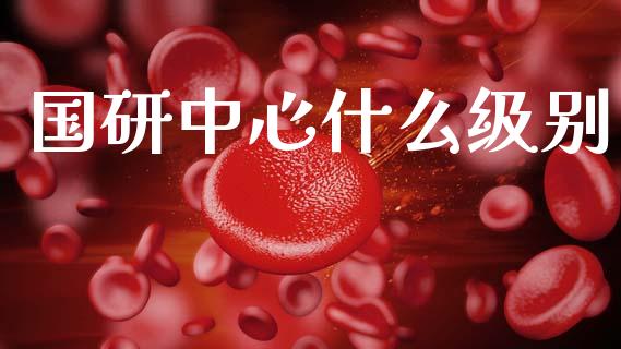 国研中心什么级别_https://www.fsyjjx.cn_股指期货_第1张
