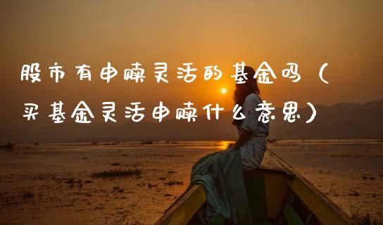 股市有申赎灵活的基金吗（买基金灵活申赎什么意思）_https://www.fsyjjx.cn_问财精选_第1张