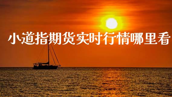 小道指期货实时行情哪里看_https://www.fsyjjx.cn_期货资讯_第1张