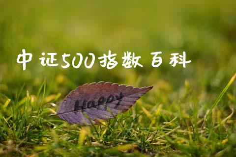 中证500指数百科_https://www.fsyjjx.cn_期货研报_第1张