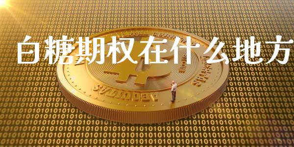 白糖期权在什么地方_https://www.fsyjjx.cn_理财资讯_第1张