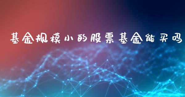 基金规模小的股票基金能买吗_https://www.fsyjjx.cn_期货资讯_第1张