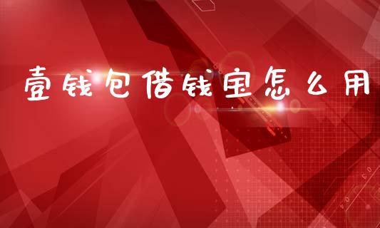 壹钱包借钱宝怎么用_https://www.fsyjjx.cn_理财资讯_第1张