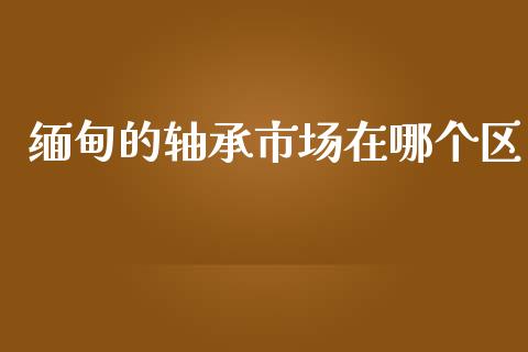 缅甸的轴承市场在哪个区_https://www.fsyjjx.cn_期货在线_第1张