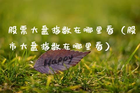 股票大盘指数在哪里看（股市大盘指数在哪里看）_https://www.fsyjjx.cn_股票指导_第1张