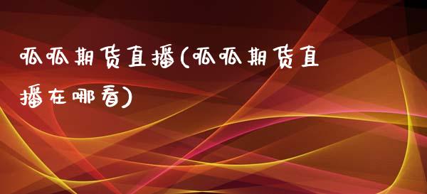 呱呱期货直播(呱呱期货直播在哪看)_https://www.fsyjjx.cn_股票指导_第1张