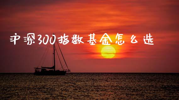 沪深300指数基金怎么选_https://www.fsyjjx.cn_期货研报_第1张